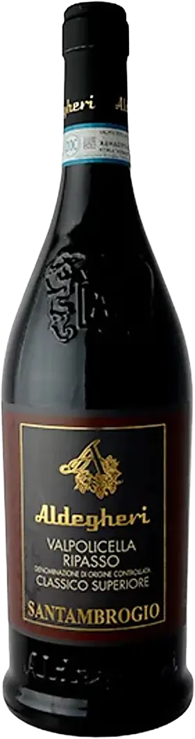 Aldegheri Valpolicella Ripasso 2022