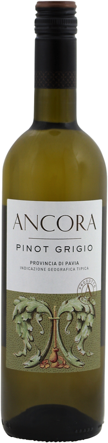 Ancora Pinot Grigio 2025
