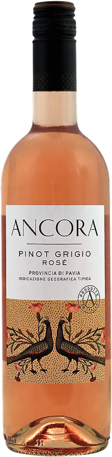 Ancora Pinot Grigio Rosé 2025