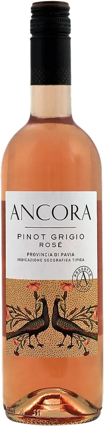 Ancora Pinot Grigio Rosé 2025