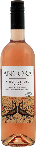 Ancora Pinot Grigio Rosé 2025