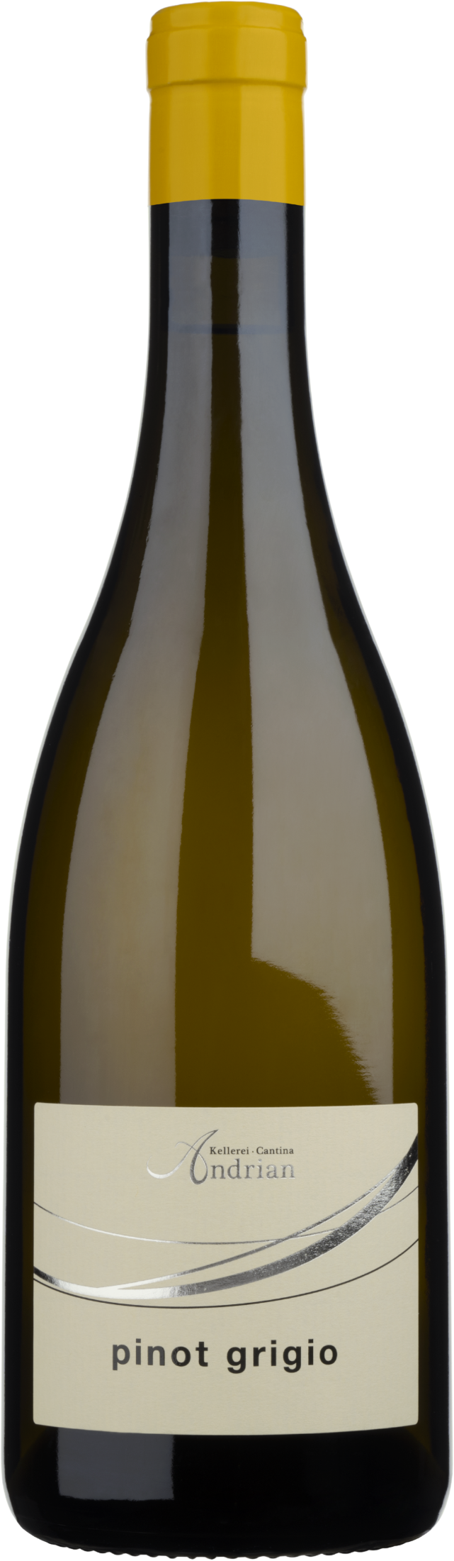 Andrian Pinot Grigio Weinberg Dolomiten igt 'Andrian' 2024
