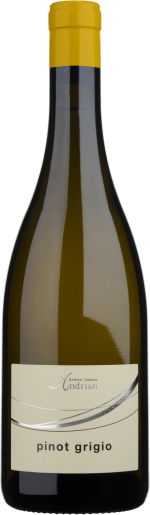 Andrian Pinot Grigio Weinberg Dolomiten igt 'Andrian' 2024