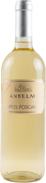 Anselmi Capitel Foscarino igt 2025