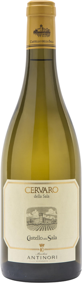 Antinori Cervaro della Sala 2024