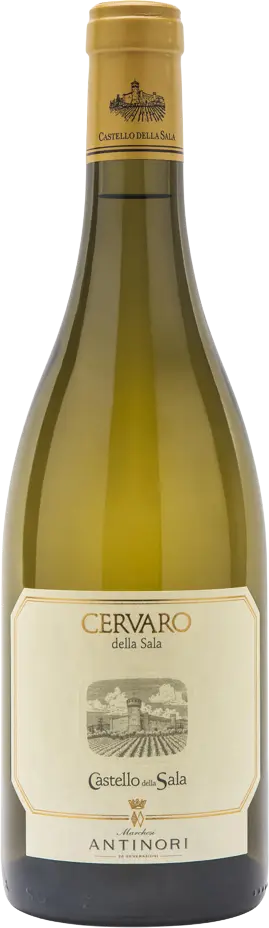 Antinori Cervaro della Sala 2024