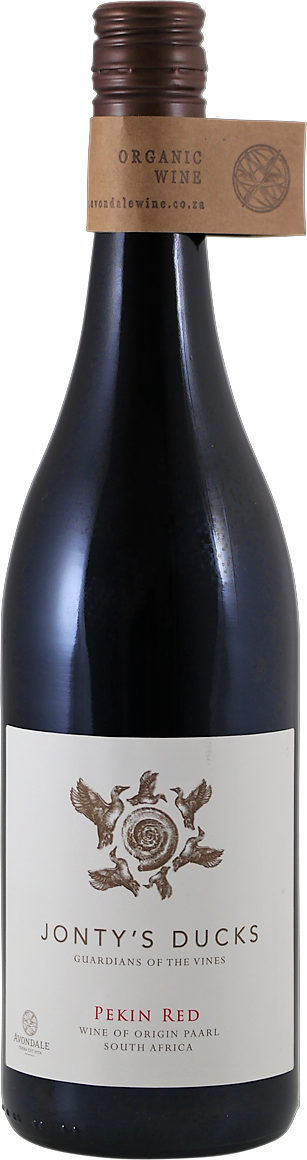 Avondale Jonty's Ducks Pekin Red 2021