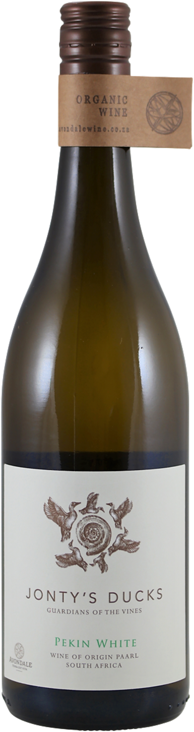 Avondale Jonty's Ducks Pekin White 2024