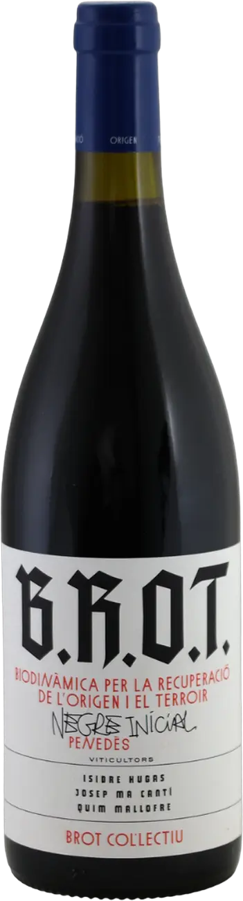 B.R.O.T. Negre Inicial 2024