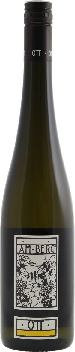 Bernhard Ott Gruner Veltliner Am Berg 2023