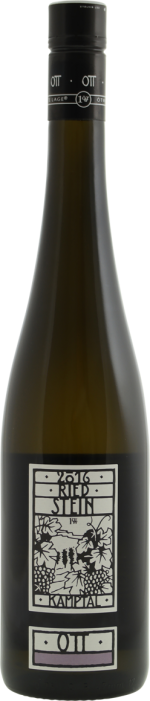 Bernhard Ott Gruner Veltliner Ried Stein 2021