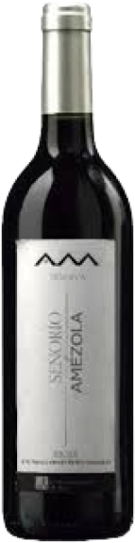Bodegas Amezola de la Mora Señorío de Amézola Reserva 2019 (6 flessen)