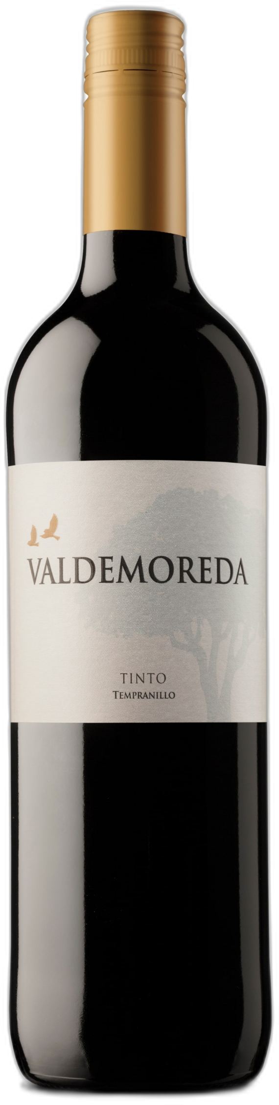 Bodegas del Mundo Tempranillo vdm 'Valdemoreda' 2023