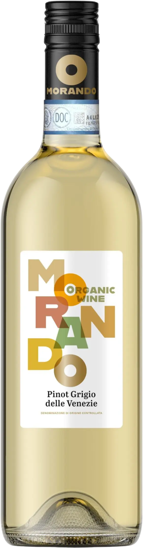 Campagnola Pinot Grigio Venezie doc Organic 'Morando' 2024