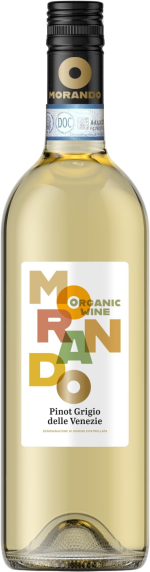 Campagnola Pinot Grigio Venezie doc Organic 'Morando' 2024