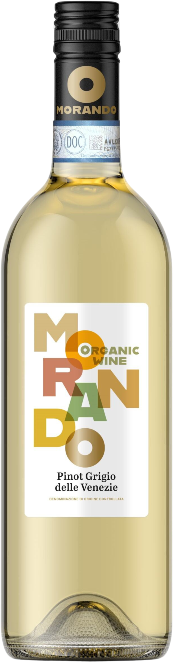 Campagnola Pinot Grigio Venezie doc Organic 'Morando' 2025