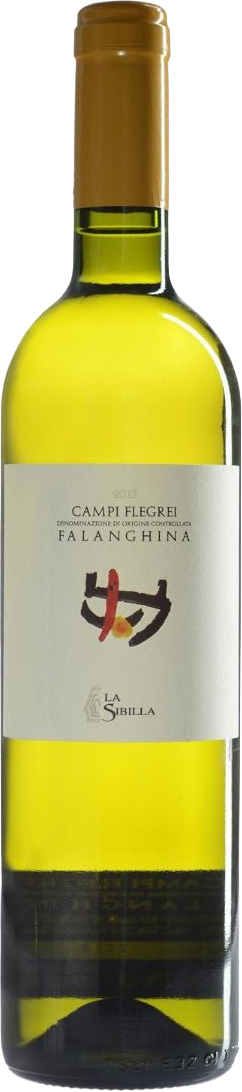  Campi Flegrei Falanghina  La Sibilla 2024
