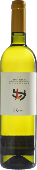 Campi Flegrei Falanghina La Sibilla 2024