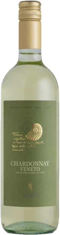 Cantina Castelnuovo Chardonnay IGT 2024 (6 flessen)