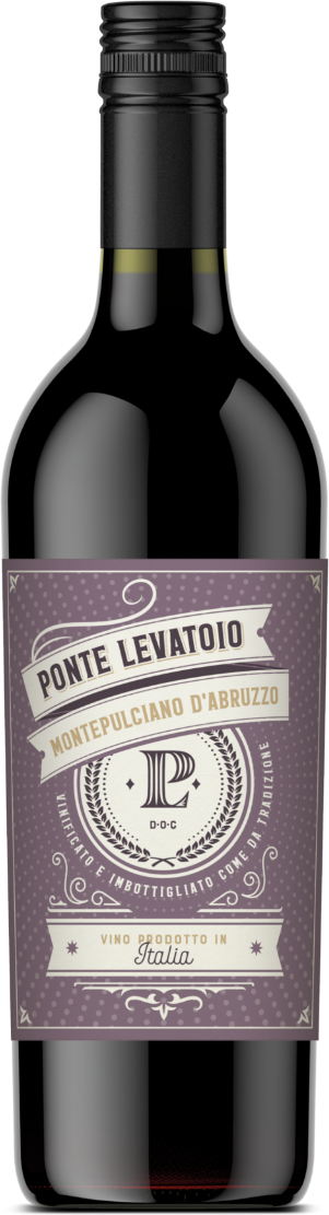 Cantina Tollo Montepulciano d'Abruzzo doc 'Ponte Levatoio' 2022