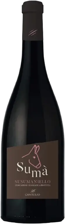 Cantolio Susumaniello Suma IGP 2024