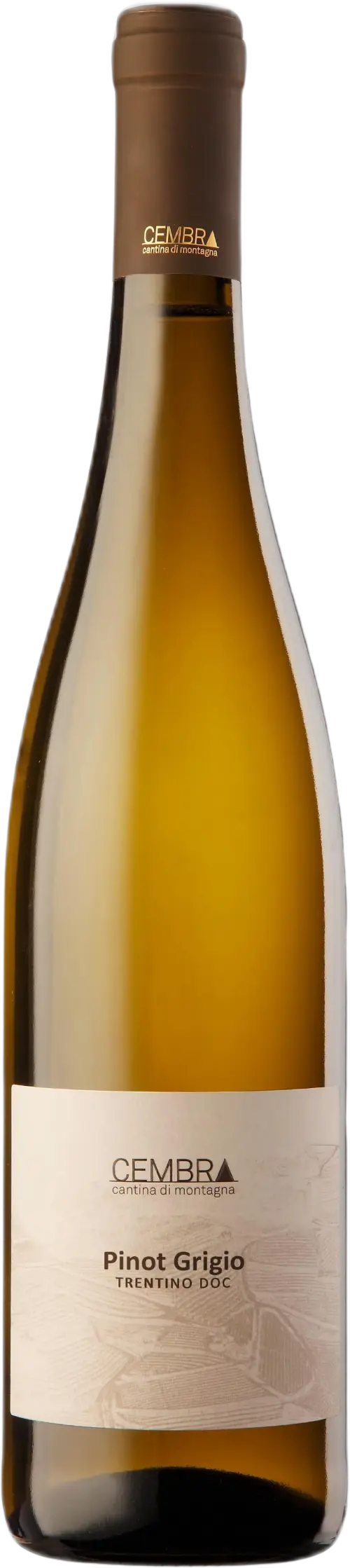 Cembra Pinot Grigio Trentino doc 'Cembra' 2025