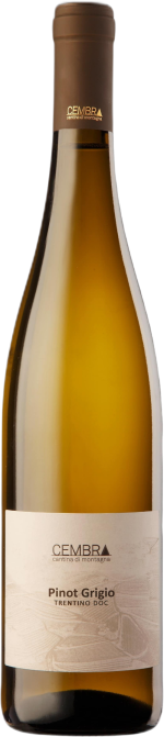 Cembra Pinot Grigio Trentino doc 'Cembra' 2025