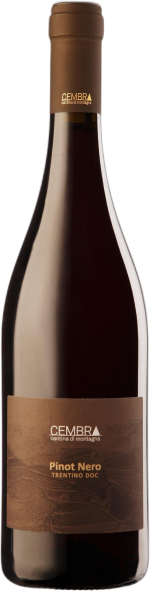 Cembra Pinot Nero Trentino doc 'Cembra' 2024