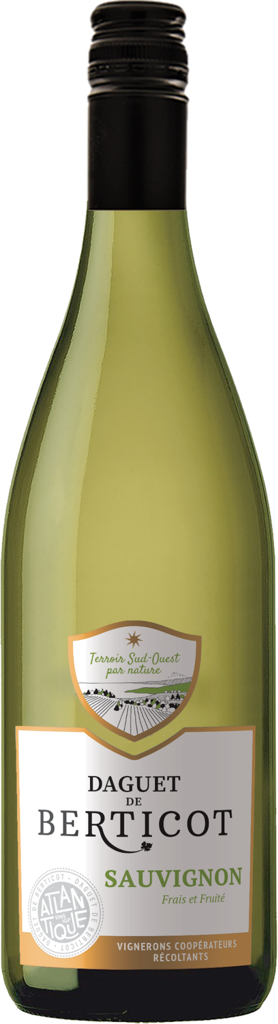 Daguet de Berticot Sauvignon Blanc 2025