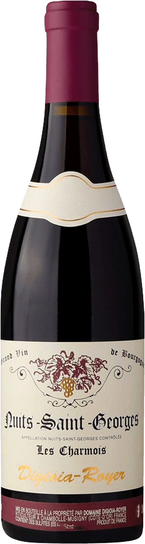Dom. Digioia-Royer Nuits-Saint-Georges 'Les Charmois' 2021