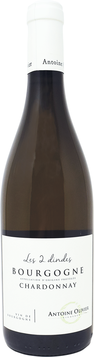 Domaine Antoine Olivier Bourgogne Blanc 'Les 2 Dindes' 2023