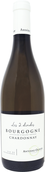 Domaine Antoine Olivier Bourgogne Blanc 'Les 2 Dindes' 2023