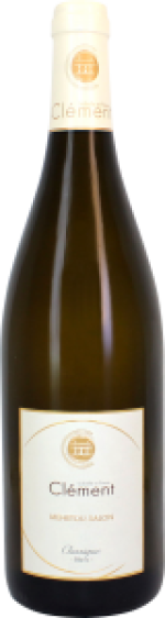 Domaine de Châtenoy Menetou-Salon Blanc 2025