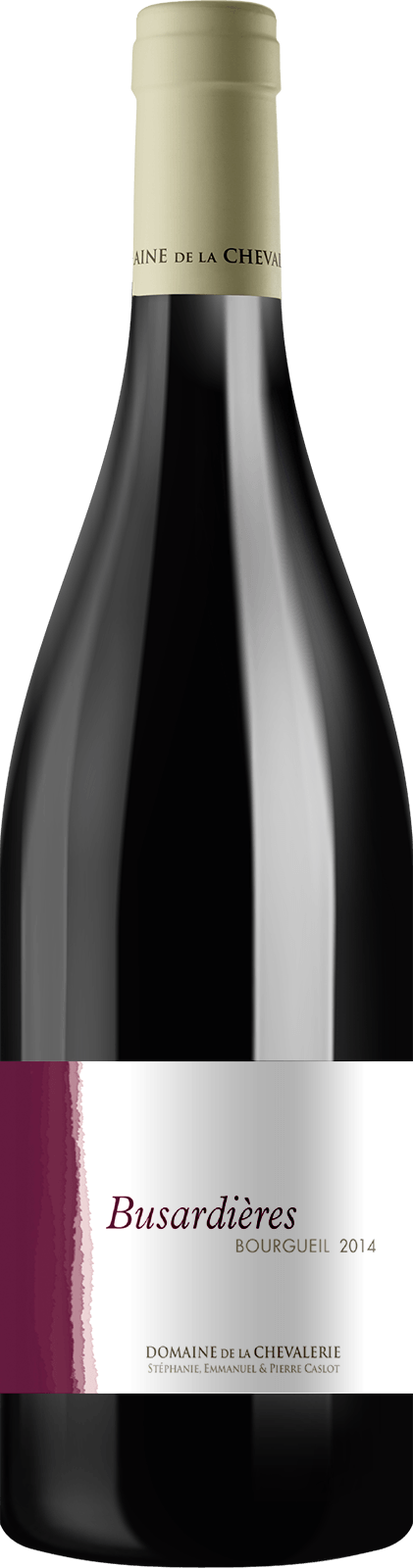 Domaine de la Chevalerie - Bourgueil Busardières 2015