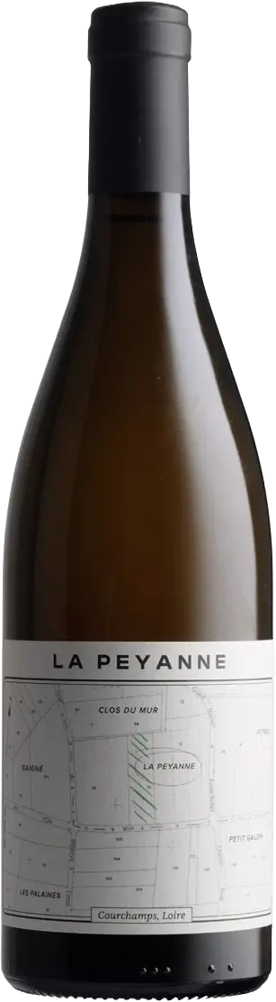 Domaine Théo Blet Saumur Blanc 'La Peyanne' 2023