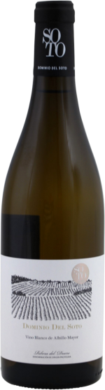Dominio Del Soto blanco 2021