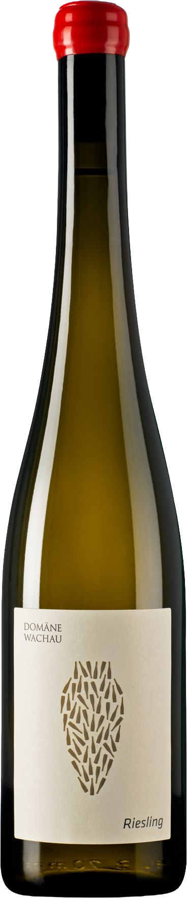 Domäne Wachau Riesling Amphora 2019