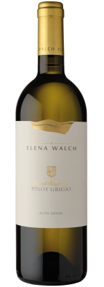 Elena Walch Pinot Grigio Vigna Castel Ringberg 2024
