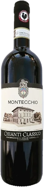 Fattoria Montecchio Chianti Classico 2023