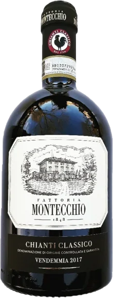 Fattoria Montecchio Primum Chianti Classico 2021