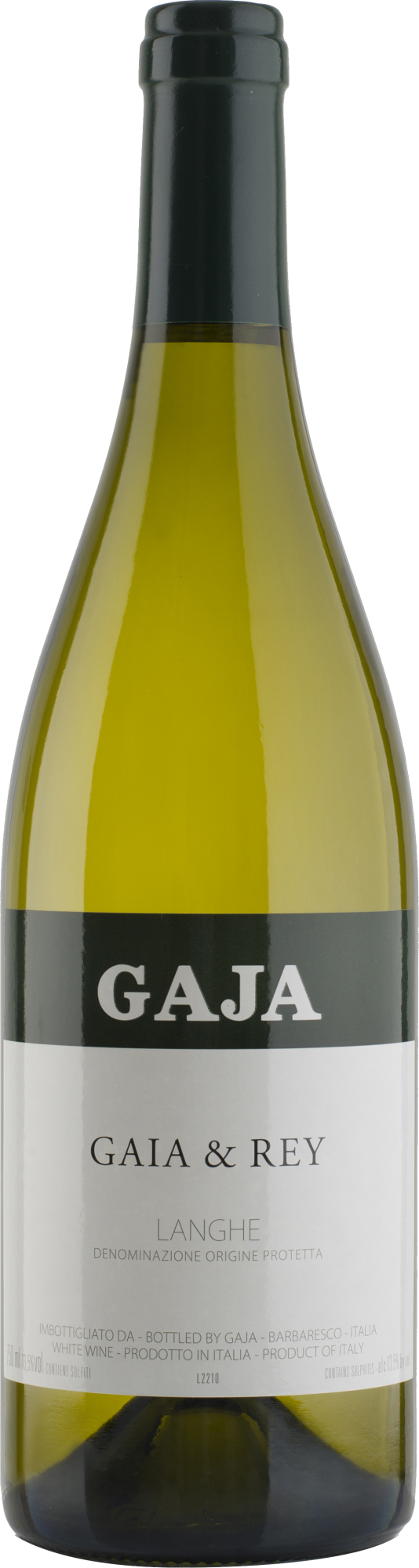 Gaja Gaia & Rey 2023