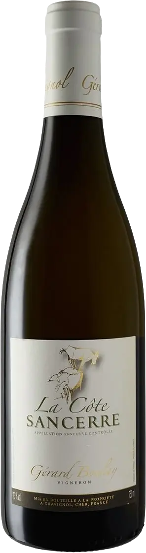 Gérard Boulay Sancerre 'La Côte' 2024