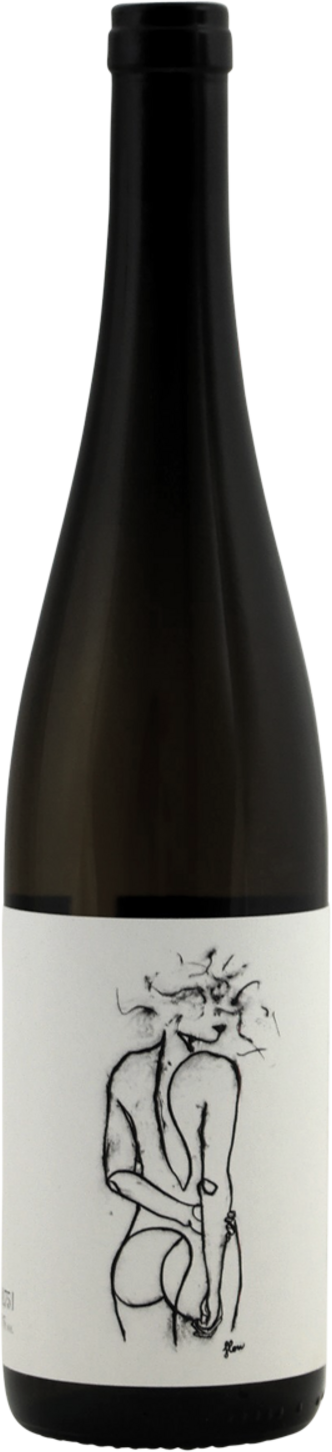Geyerhof Hofstudien Donauriesling 2024