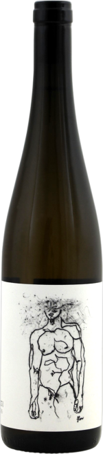 Geyerhof Hofstudien Grüner Veltliner 2024
