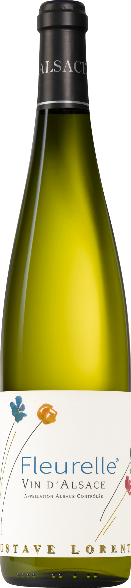 Gustave Lorentz Fleurelle 2024