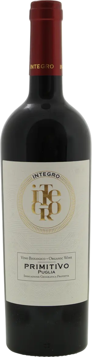 Integro Primitivo 2025
