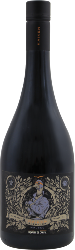 Kaiken Aventura Chacayes Canota 2022