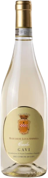 Marchese Luca Spinola Gavi comune di Gavi Carlo DOCG 2024