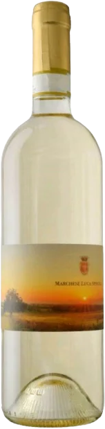 Marchese Luca Spinola Gavi comune di Tassarolo DOCG 2024