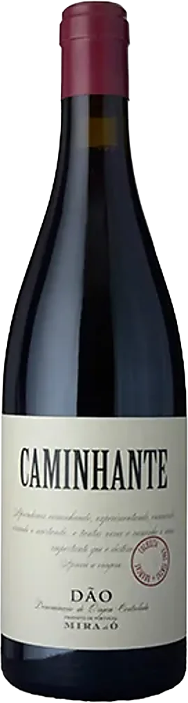 Mira do Ó Caminhante Tinto 2021